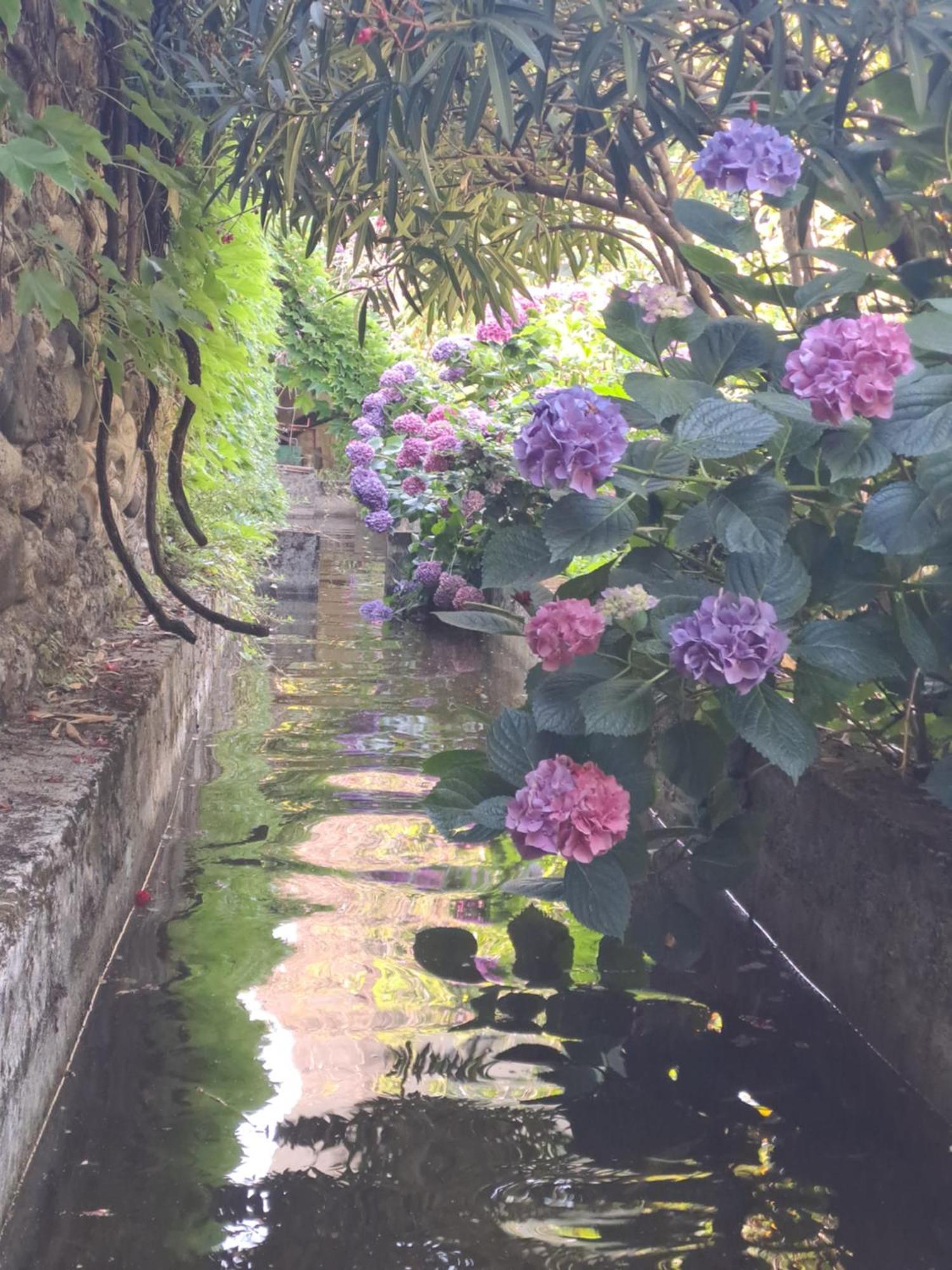 Gite 5 "Le Laurus" Aux Magnolias Aubenas Zewnętrze zdjęcie